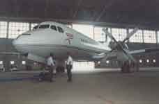 �����w��`�L�����p�X�̑�^�i�[�ɂɓW������Ă���x�r�P�P